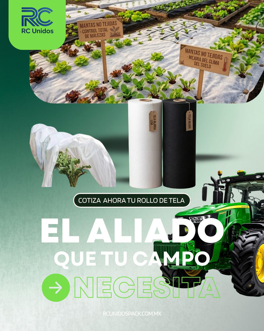 Optimización logística y distribución masiva